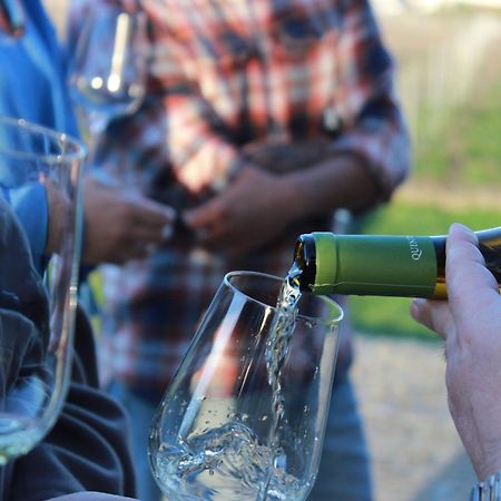 Quinta Pousada De Fora Wines & Tourism Guimarães Eksteriør bilde