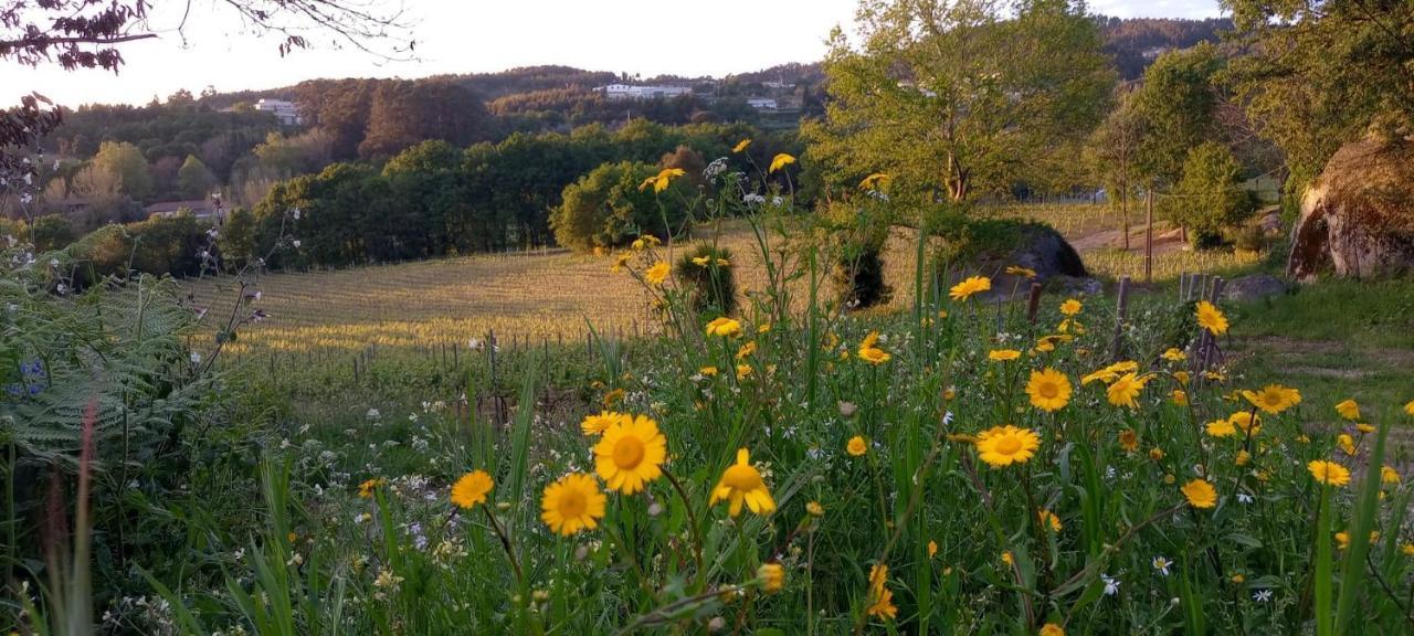 Quinta Pousada De Fora Wines & Tourism Guimarães Eksteriør bilde