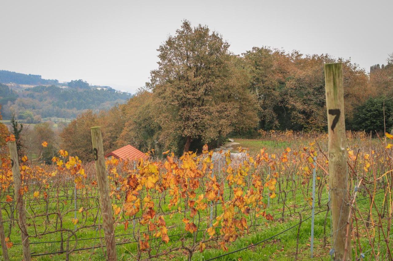 Quinta Pousada De Fora Wines & Tourism Guimarães Eksteriør bilde