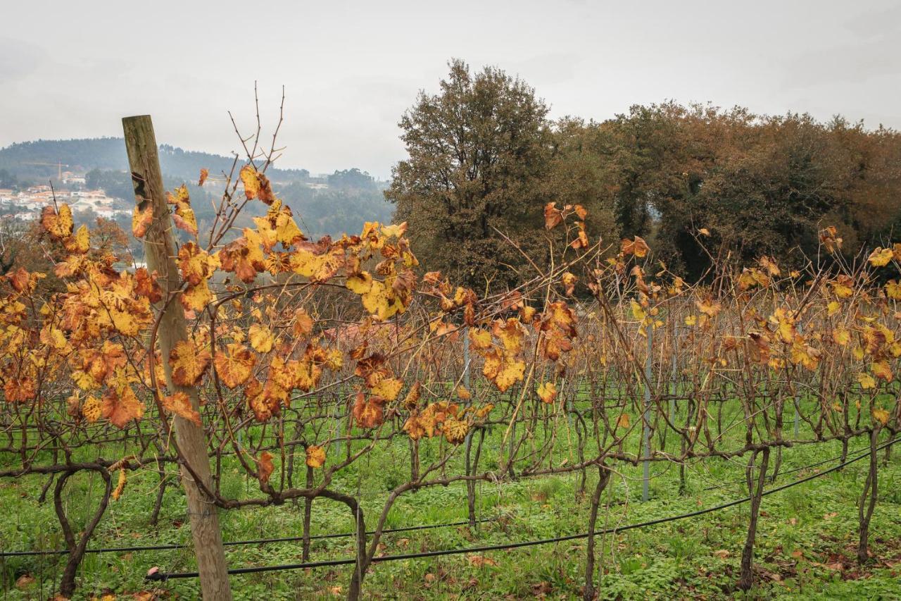 Quinta Pousada De Fora Wines & Tourism Guimarães Eksteriør bilde