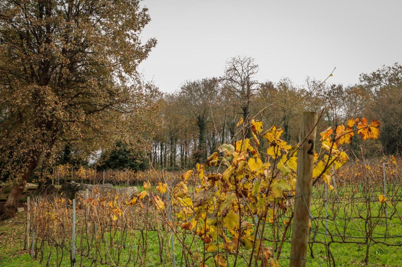 Quinta Pousada De Fora Wines & Tourism Guimarães Eksteriør bilde