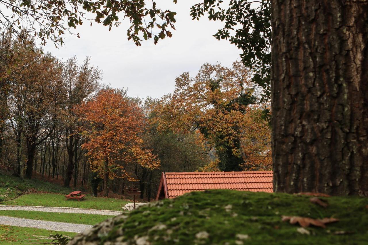 Quinta Pousada De Fora Wines & Tourism Guimarães Eksteriør bilde