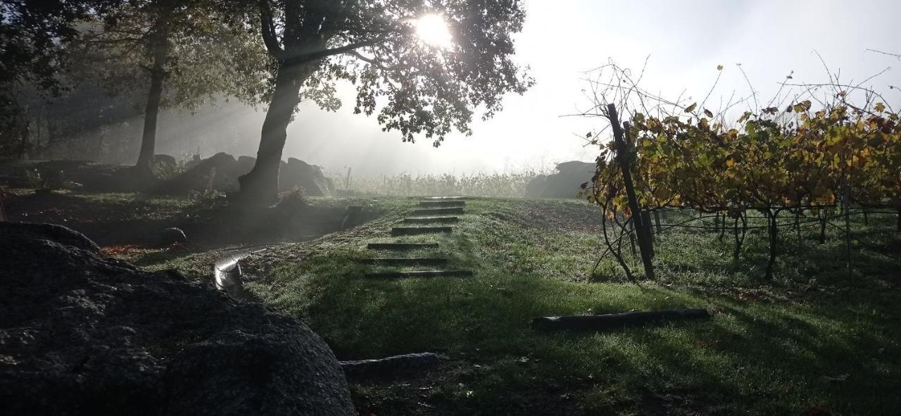 Quinta Pousada De Fora Wines & Tourism Guimarães Eksteriør bilde