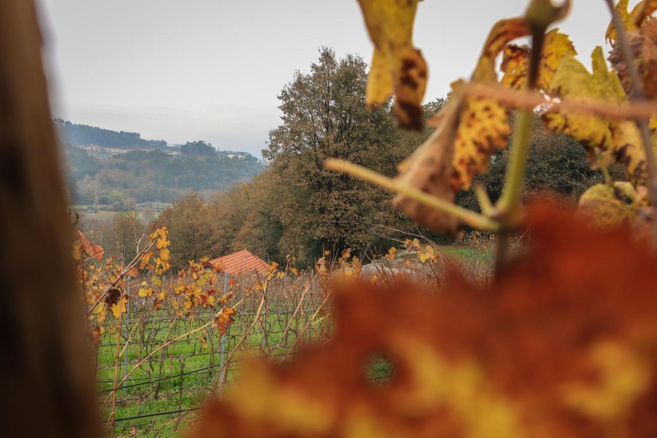 Quinta Pousada De Fora Wines & Tourism Guimarães Eksteriør bilde