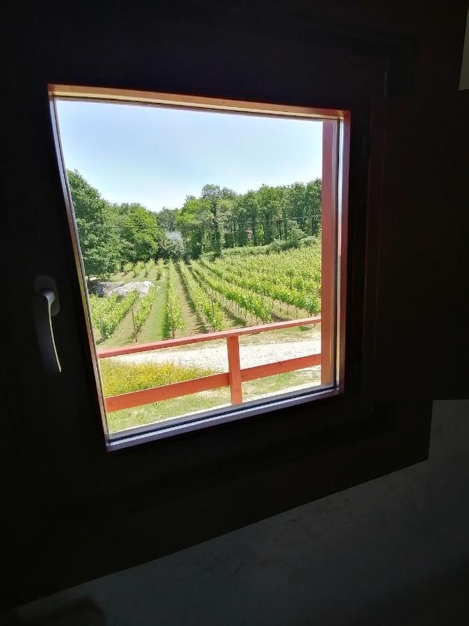 Quinta Pousada De Fora Wines & Tourism Guimarães Eksteriør bilde
