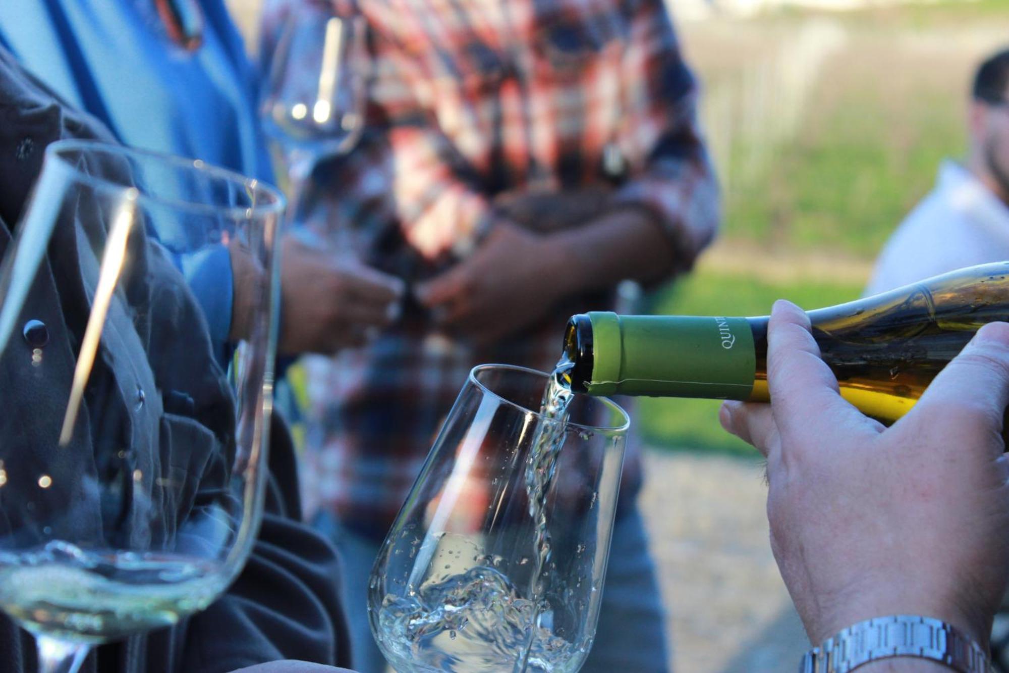 Quinta Pousada De Fora Wines & Tourism Guimarães Eksteriør bilde